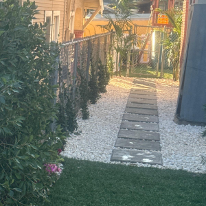 imagen_2024-12-22_193429006