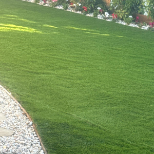 imagen_2024-12-22_193450145