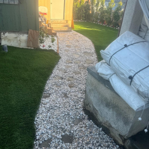 imagen_2024-12-22_193457681