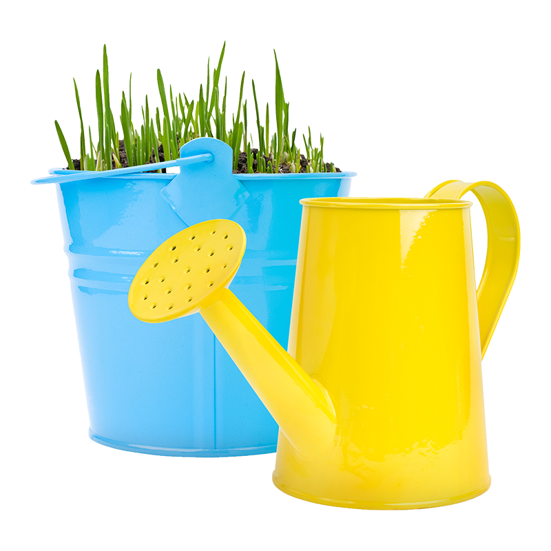 Narcissus Flower Watering Can Arrangement