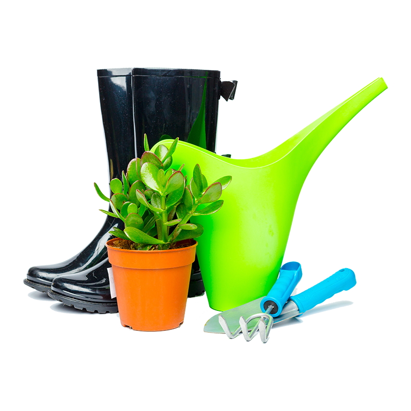 Garden Tools isolated on White