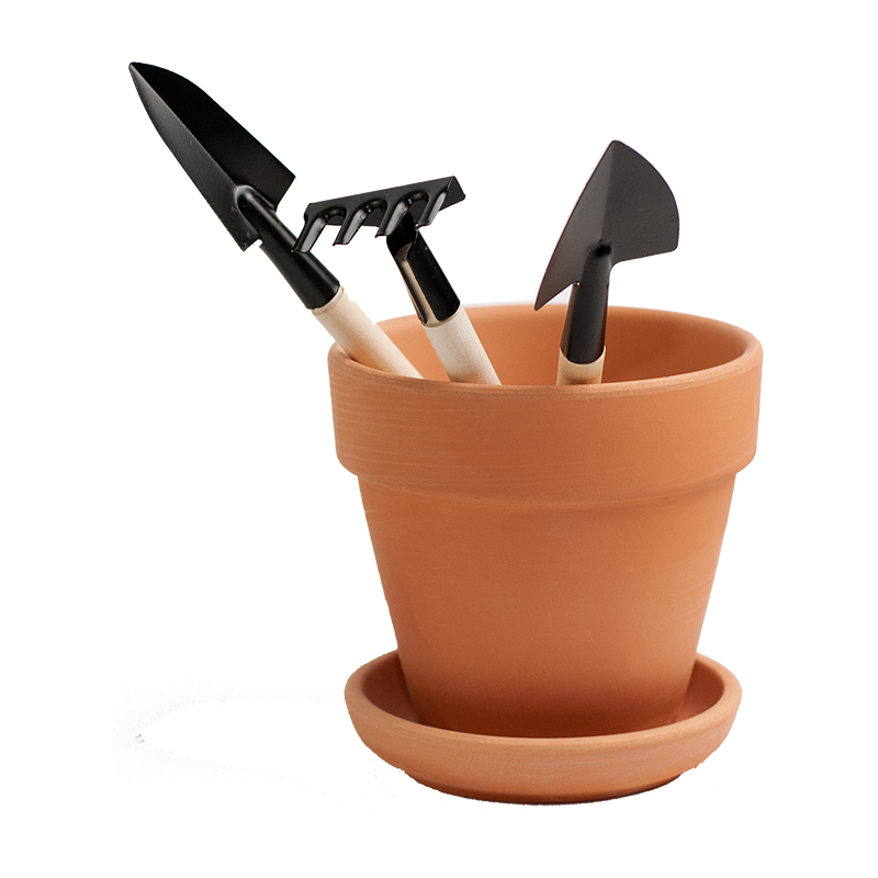 Narcissus Flower Watering Can Arrangement - Image 4