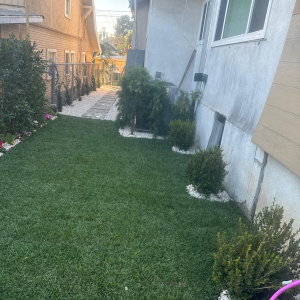 imagen_2024-12-22_183539802