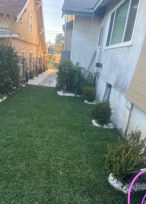 imagen_2024-12-22_183539802