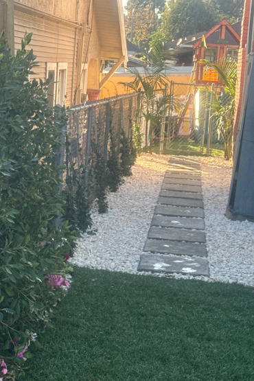 imagen_2024-12-22_183549337